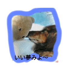 miyoko_20200109203414