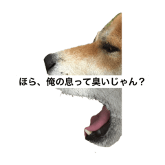Rina_20200109215042