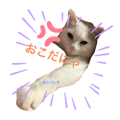 maichi_20200109220922