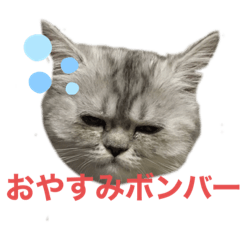 akiko_20200109223438