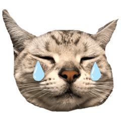 tomomi_20200109233854