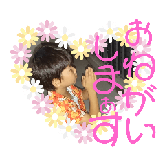 ryuseiseicyo