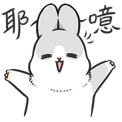 Machiko rabbit4