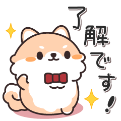 Talk a Pomeranian