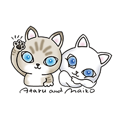 Blue eyes cat "Maiko" & "Ataru" vol.2