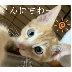 chie_20200110132808