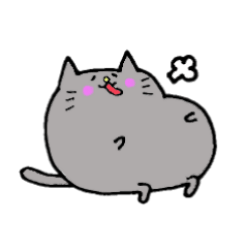 Round cat. Maru