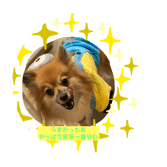 ラーメン Lineクリエイターズスタンプまとめ Stamplist