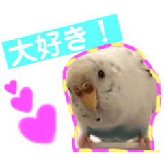 inko.miruku