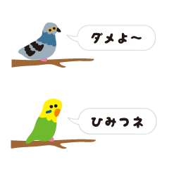 Birds talkative