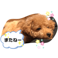 mimi_20200110221222