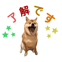 Shiba Inu no TARO honorific stamps