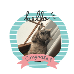 ringo_20200110233353