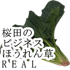 sakurada no bijines hourensou real966