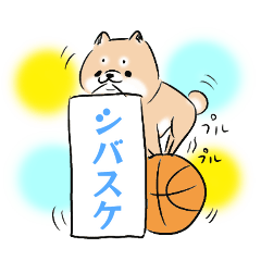 SHIBASUKE of Shiba