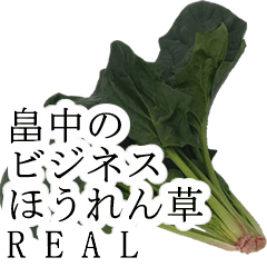 hatanaka no bijines hourensou real968