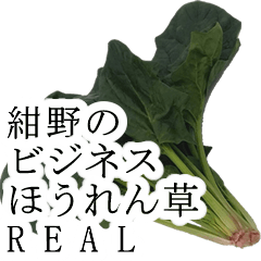 konno no bijines hourensou real974