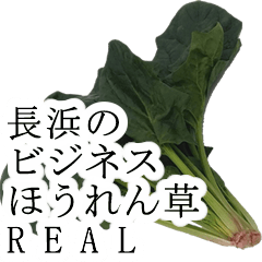 nagahama no bijines hourensou real976