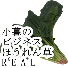 kogure no bijines hourensou real982