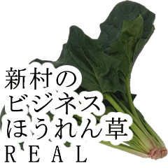 niimura no bijines hourensou real985