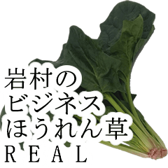 iwamura no bijines hourensou real993