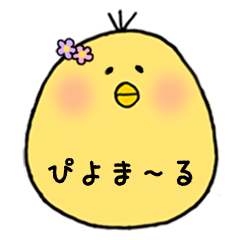 a chick piyomaru