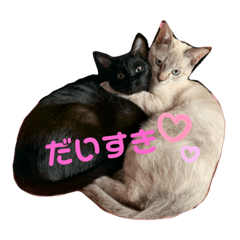 Alice_20200111172955