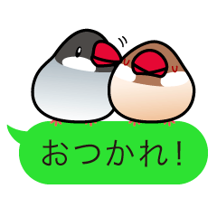 Message Java sparrows.