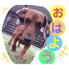 SMILE_20200111203920