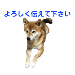 Ken_20200111214819