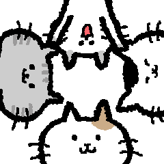 Various cats of various expressions