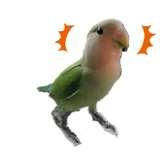 haku stanp