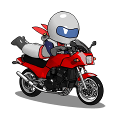 Rider ninja