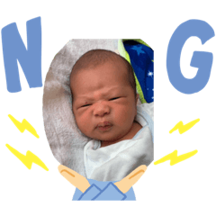 Ringo_20200112103757