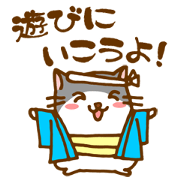 The hamster invited to various things