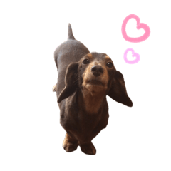 Akiko_20200112141239