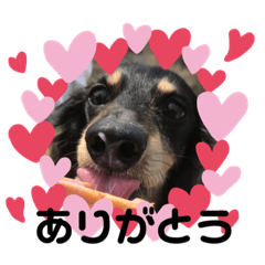 junko_20200112155239