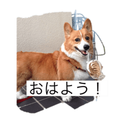 kazuki_20200112162532