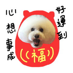A&妞黑白配