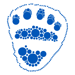 The animal foot prints