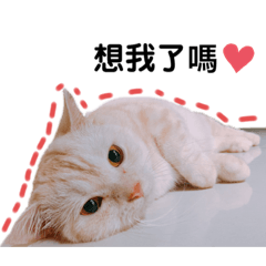 三寶的日常ฅ՞•ﻌ•՞ฅ