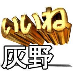 動く!金文字【灰野,はいの】