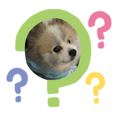 leo_202001120112_leo