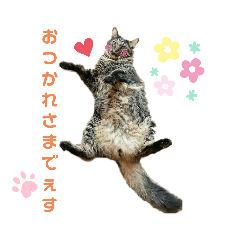 kazuki_20200112182453