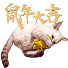 Cat new year stickers