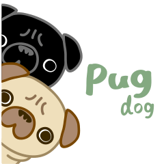 pug dog-English version
