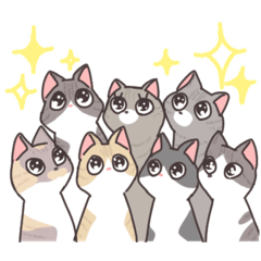 Yamaguchi's cats