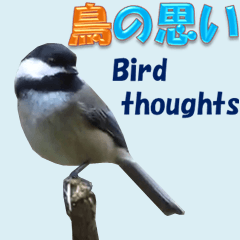 鳥の思い