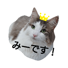 saya_20200113074033