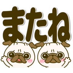 dekamoji pug chan